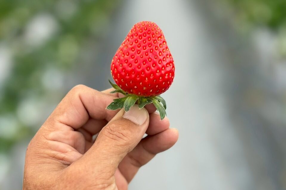 LINE_ALBUM_20260126_260126_2