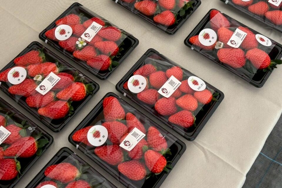 LINE_ALBUM_20260126_260126_33