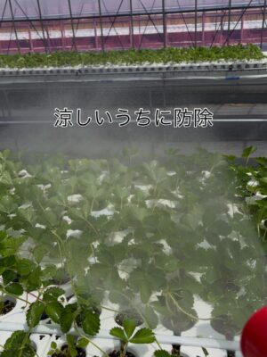 AAE3643E-251F-4788-882C-0B42B911FE2E.jpeg